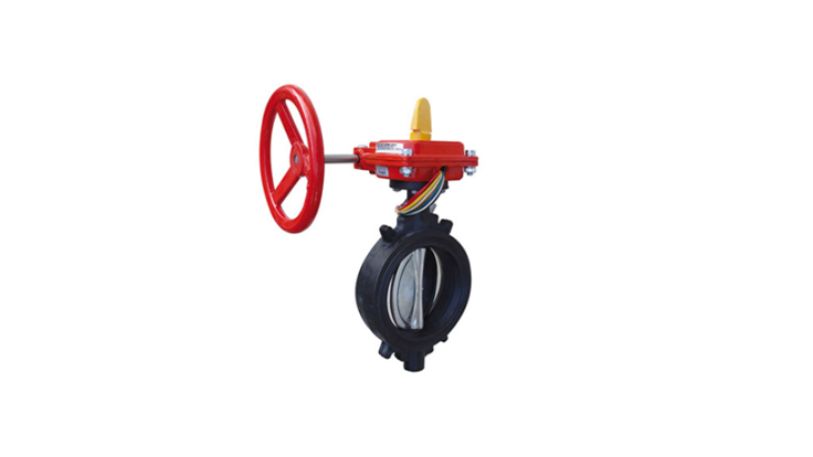 DN65 Global Safety İzleme Anahtarlı Kelebek Vana