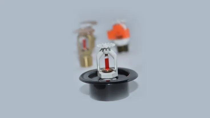 Onaysız Sprinkler